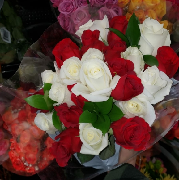 Meet your Posher, Rojin - Picture 1 of 1